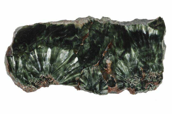 Polished Seraphinite Slab - Siberia #174790